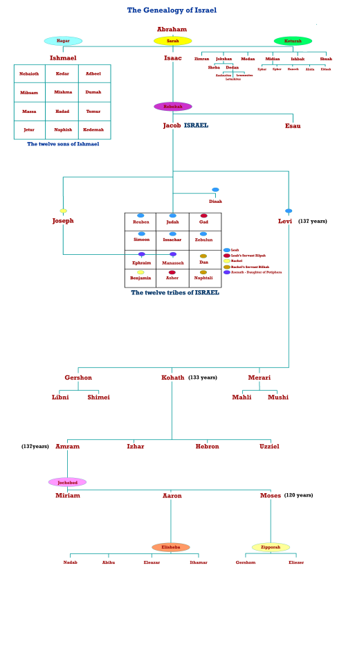 The Genealogy of Israel with the ages of the Levites according to the Bible.